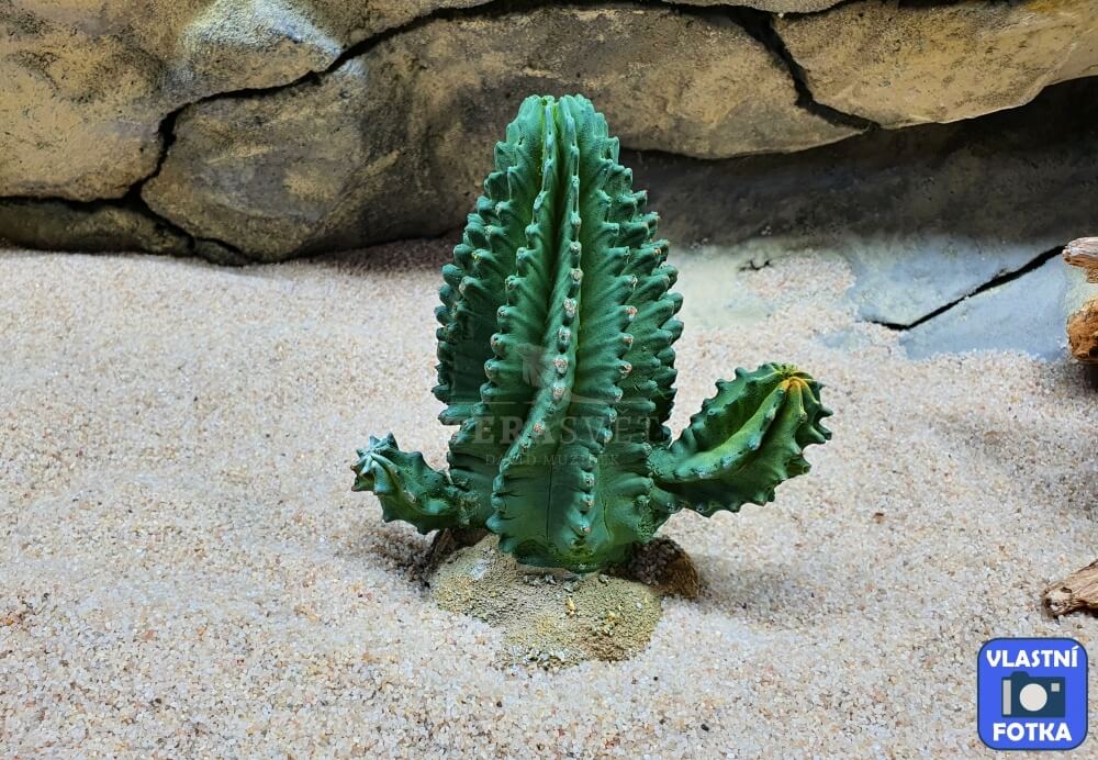 GiganTerra Umělý Kaktus Twist - rostlina do terária (2)